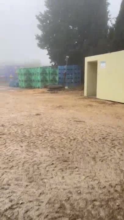 וידאו מאייסברן 2025