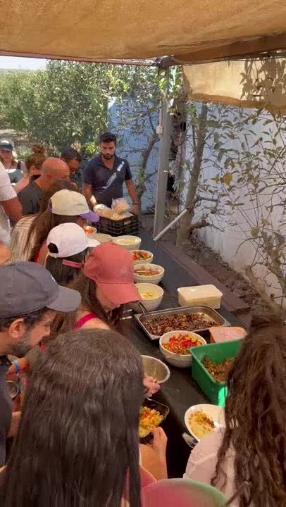 וידאו מאייסברן 2025